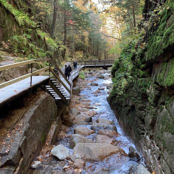 The Flume Gorge - Parks Near Me - Lincoln, New Hampshire The Flume Gorge - Parks Near Me - Lincoln, New Hampshire