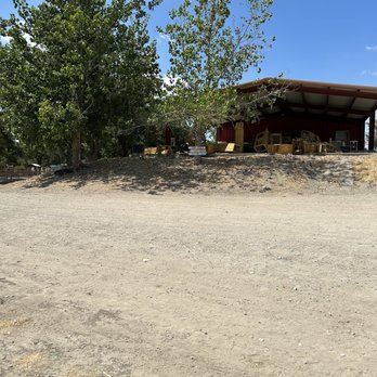 Sweet Eats Adventure Farm - Beautiful tree - Attraction Farms Near Me - Georgetown, Texas