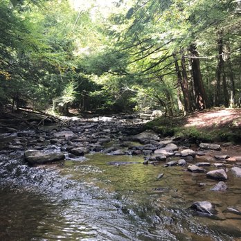 Swallow Falls State Park - Above the falls - Parks Near Me - Oakland, Maryland