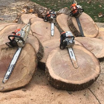 Cardona's Tree Services - Tree Services Near Me Cardona's Tree Services - Tree Services Near Me