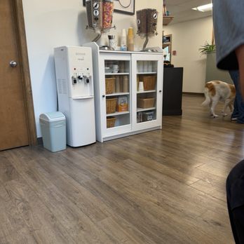 Good Life Veterinary Care - Veterinarians Near Me - Dublin, Ohio Good Life Veterinary Care - Veterinarians Near Me - Dublin, Ohio