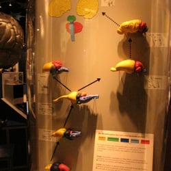Museum Mensch und Natur