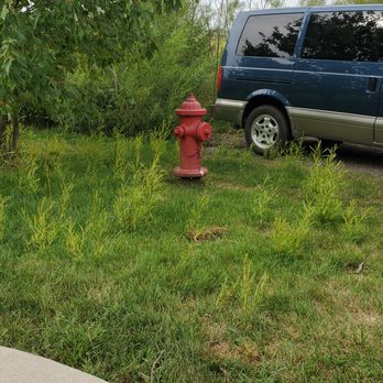 Quality Care - a blue van and a red fire hydrant - Tree Services Near Me - Coralville, Iowa