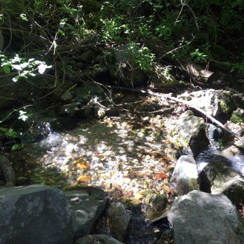 Ferguson Canyon - So close to the river - Hiking Near Me - Cottonwood Heights, Utah