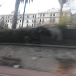 Istituto Internazionale di Studi Liguri