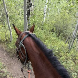 Spotted Horse Ranch