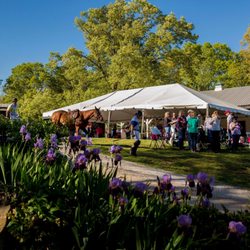 Chukkar Farm Polo Club Events & Weddings - Sunset Polo Event