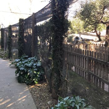 Micke Grove Zoo - Zoos Near Me - Lodi, California