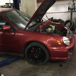 Import & Domestic Auto