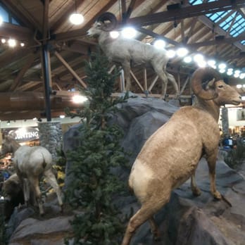 Cabela's - Outdoor Gear Near Me - Gonzales, Louisiana