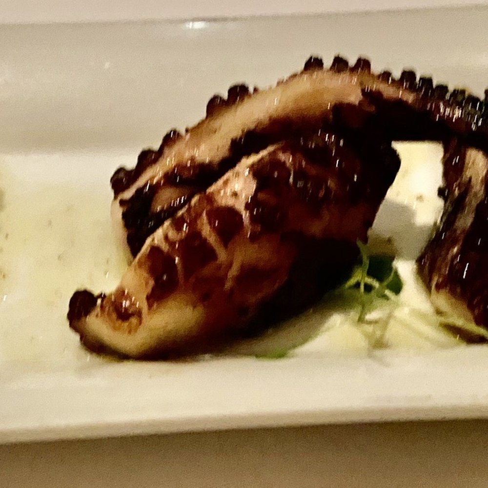 Dio Deka - Octopus - Greek Near Me - Los Gatos, California Dio Deka - Octopus - Greek Near Me - Los Gatos, California
