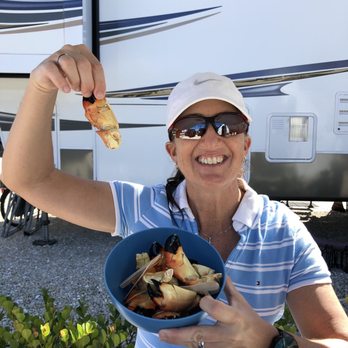 Adventure Seafood - Look at these stone crab claws... so fresh!!! - Seafood Markets Near Me - Jensen Beach, Florida