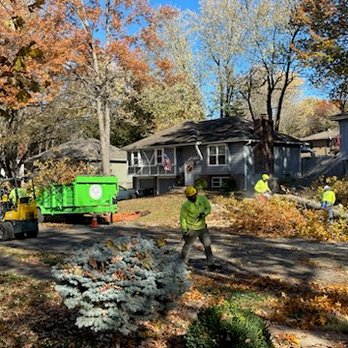 Treebullies Tree Service - Work Safe - Tree Services Near Me - Kansas City, Missouri Treebullies Tree Service - Work Safe - Tree Services Near Me - Kansas City, Missouri