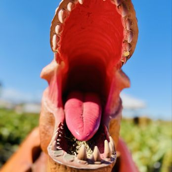 Spina Farms - Rawr - Farmers Market Near Me - Morgan Hill, California Spina Farms - Rawr - Farmers Market Near Me - Morgan Hill, California