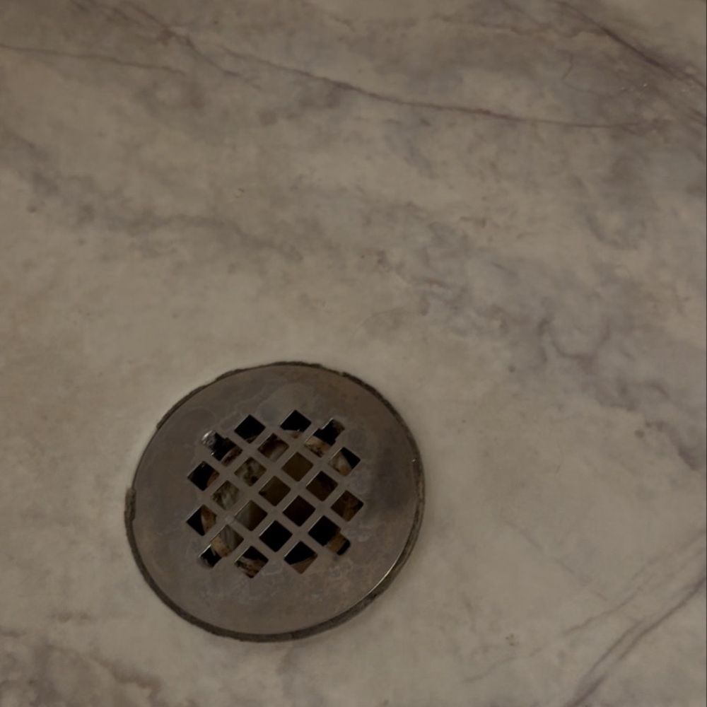 Mold in drain Mold in drain