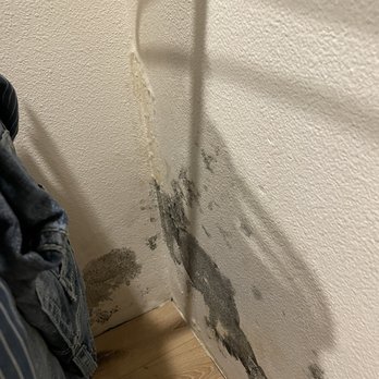 Beachfront Only Vacation Rentals - Black mold due to water leak - Vacation Rentals Near Me - Oceanside, California Beachfront Only Vacation Rentals - Black mold due to water leak - Vacation Rentals Near Me - Oceanside, California