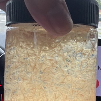 The Barrier Reef - Live Brine Shrimp - Local Fish Stores Near Me - Boca Raton, Florida The Barrier Reef - Live Brine Shrimp - Local Fish Stores Near Me - Boca Raton, Florida