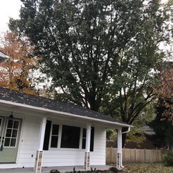 Rowan Tree Care - I was hoping to get a quote on removing this tree? Thank you