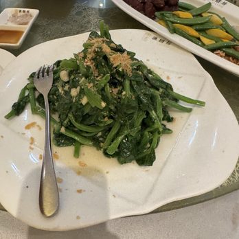 Yu Seafood - Snow pea leaves - Seafood Near Me - Richmond Hill, Ontario Yu Seafood - Snow pea leaves - Seafood Near Me - Richmond Hill, Ontario