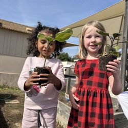 Mesa Grande Academy Children's Center