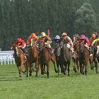 Hippodrome de ParisLongchamp - Active Life Near Me - Paris, 75