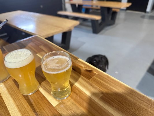 Definitive Brewing Company by null