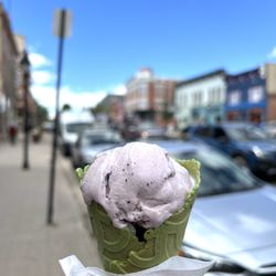 D'love Coffee and Ice Cream - Huckleberry & Matcha