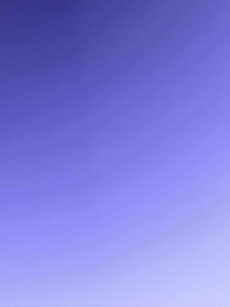 Slide of Clog Wizard Nepa