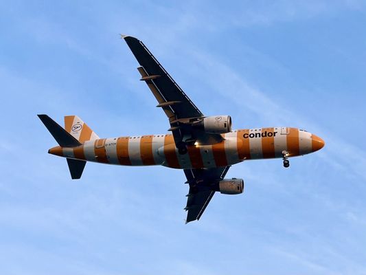 Frankfurt Airport by null