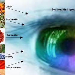 Harry's Optometrist - Eye health