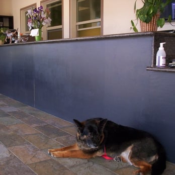 Just Pet Me - Dog Walkers Near Me - Oakland, California