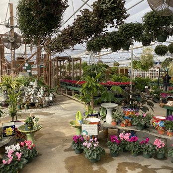Pender Pines Garden Center - Indoor plant section with birds - Nurseries & Gardening Near Me - Hampstead, North Carolina Pender Pines Garden Center - Indoor plant section with birds - Nurseries & Gardening Near Me - Hampstead, North Carolina