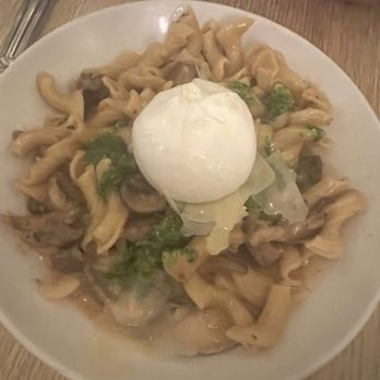 La Pecora Bianca - Mushroom pasta - Italian Near Me - New York, New York La Pecora Bianca - Mushroom pasta - Italian Near Me - New York, New York