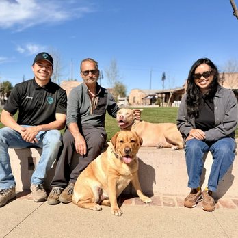 Diamond Dogs Dog Training - Pet Boarding Near Me Diamond Dogs Dog Training - Pet Boarding Near Me