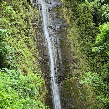Nature and You - Manoa Falls Waterfall - Hiking Near Me - Honolulu, Hawaii Nature and You - Manoa Falls Waterfall - Hiking Near Me - Honolulu, Hawaii