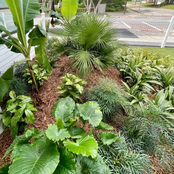 Texas Nativescapes - a tropical garden - Landscaping Near Me - Denton, Texas
