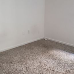 Dirty carpet