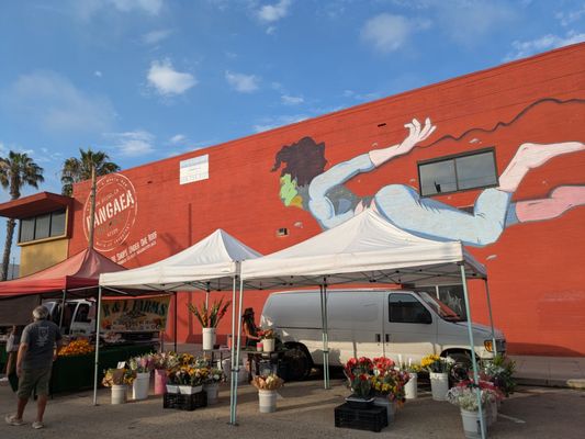 Pacific Beach Tuesday Farmers' Market by null