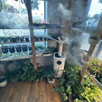 The Plant Sitter - Nurseries & Gardening Near Me - San Jose, California The Plant Sitter - Nurseries & Gardening Near Me - San Jose, California