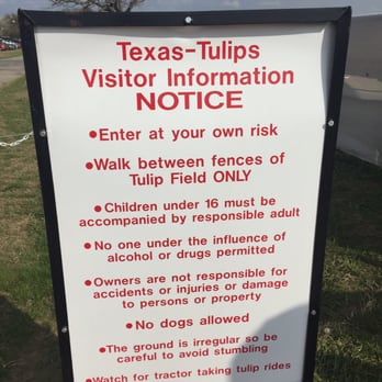 Texas-Tulips - Nurseries & Gardening Near Me - Pilot Point, Texas