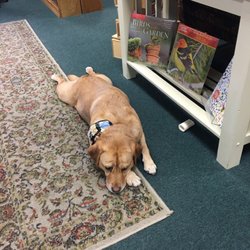 Time Enough Books