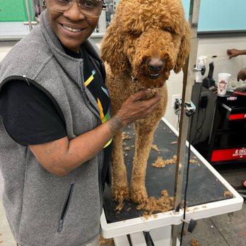 Pet Supplies Plus Cedar Hill - come meet our Groomers!!!! - Pet Groomers Near Me - Cedar Hill, Texas