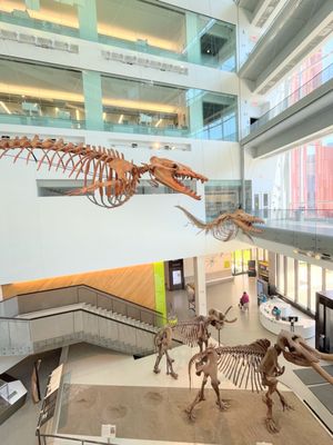 University of Michigan Museum of Natural History by null