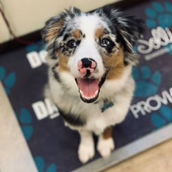 West Branch Animal Clinic