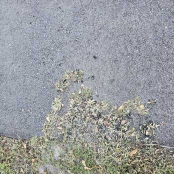 Deluxe Blacktop Paving - General Contractors Near Me - Chalfont, Pennsylvania Deluxe Blacktop Paving - General Contractors Near Me - Chalfont, Pennsylvania
