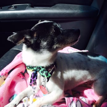 Ohana Paws - Pet Groomers Near Me - Rialto, California