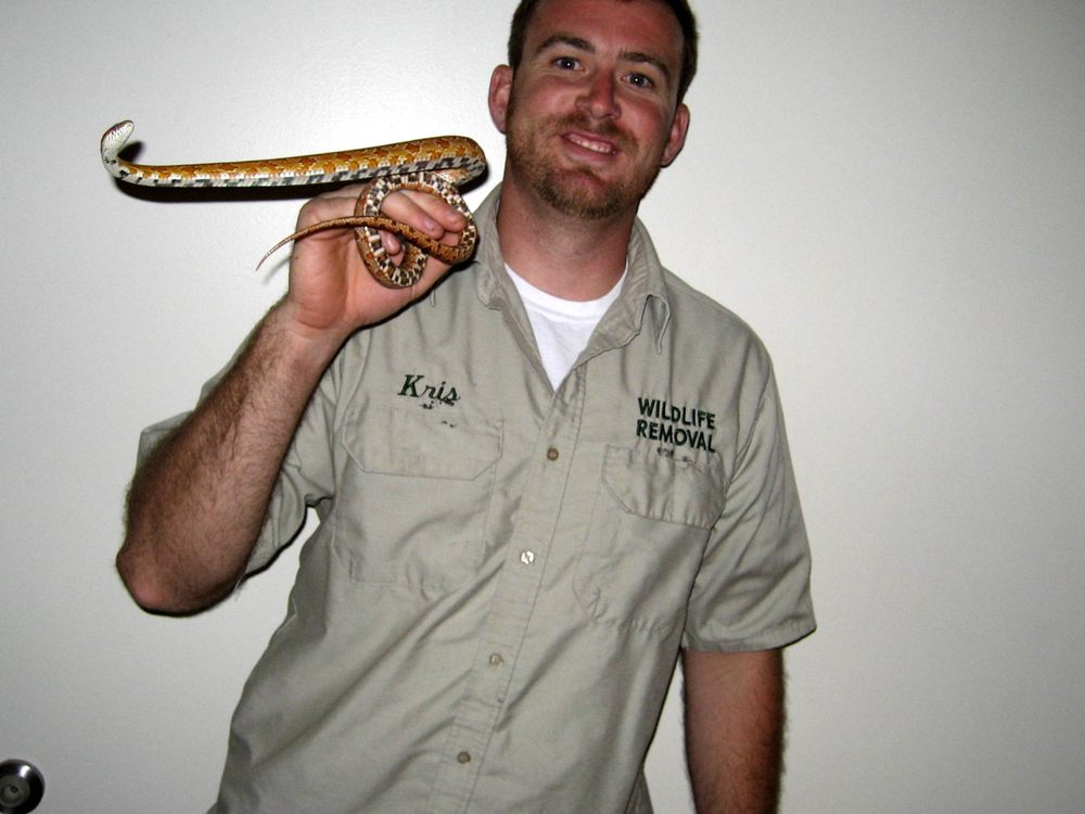 WILDLIFE PEST REMOVAL OF CHICAGO 32 Photos Chicago, Illinois Pest