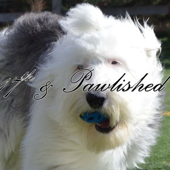 17th and Pawlished - Pet Groomers Near Me - Greeley, Colorado 17th and Pawlished - Pet Groomers Near Me - Greeley, Colorado