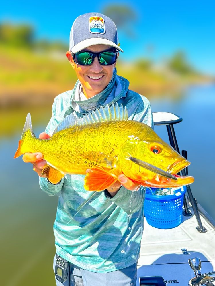 South Florida Fishing Charters Logo