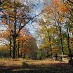 Morristown National Historical Park - Trail behind Wick House. A Hike Through Life.